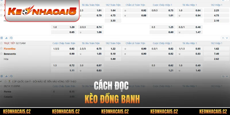 Cách đọc kèo đồng banh