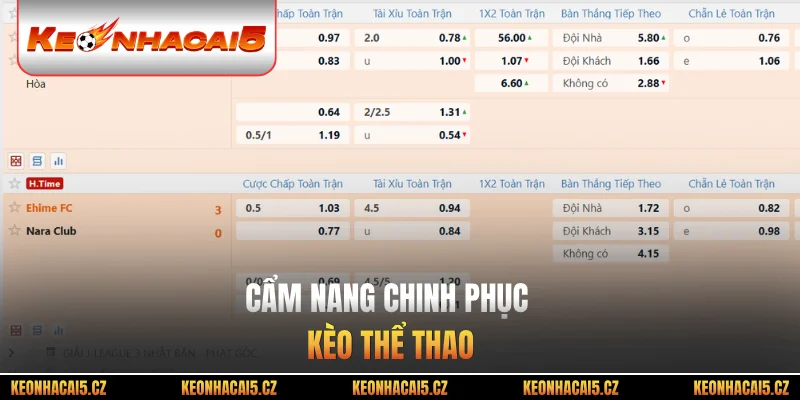 Cẩm nang chinh phục kèo thể thao