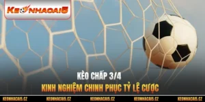Kèo Chấp 3/4 - Kinh Nghiệm Chinh Phục Tỷ Lệ Cược