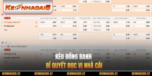 Kèo Đồng Banh - Bí Quyết Đọc Vị Nhà Cái