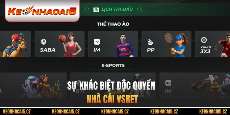 Sự khác biệt độc quyền nhà cái Vsbet