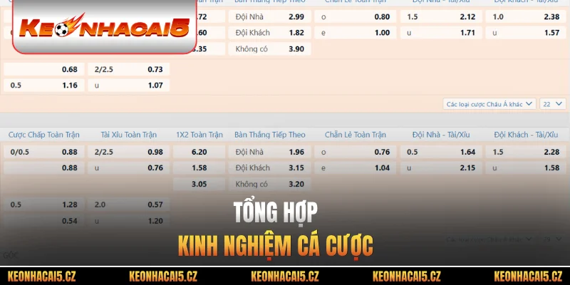 Tổng hợp kinh nghiệm cá cược